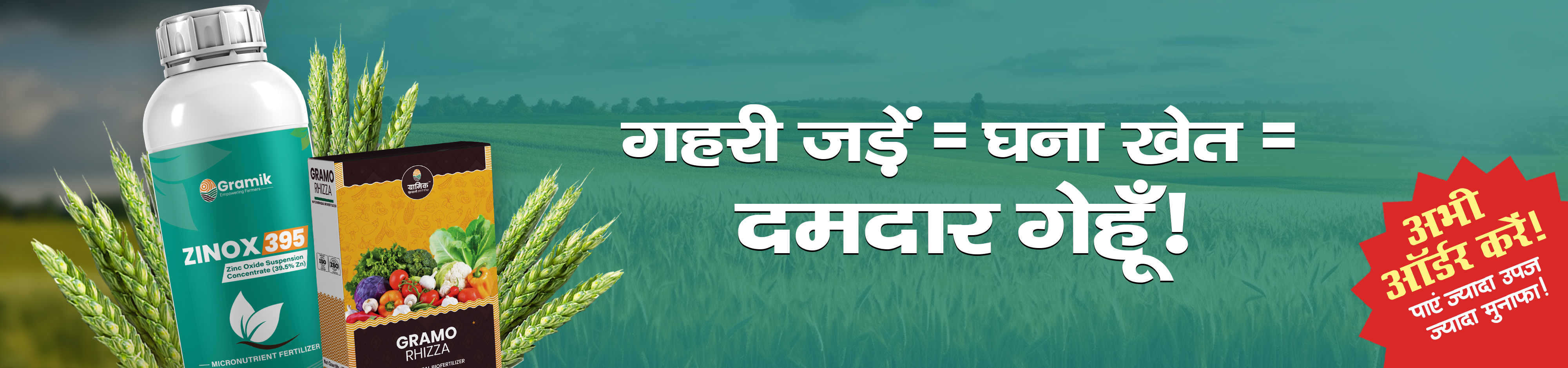 Zinox395+Gramo Rhizza  (Wheat)